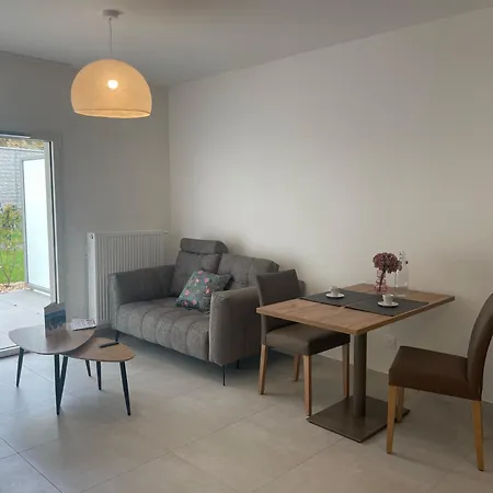 Le Rossignol * 안시